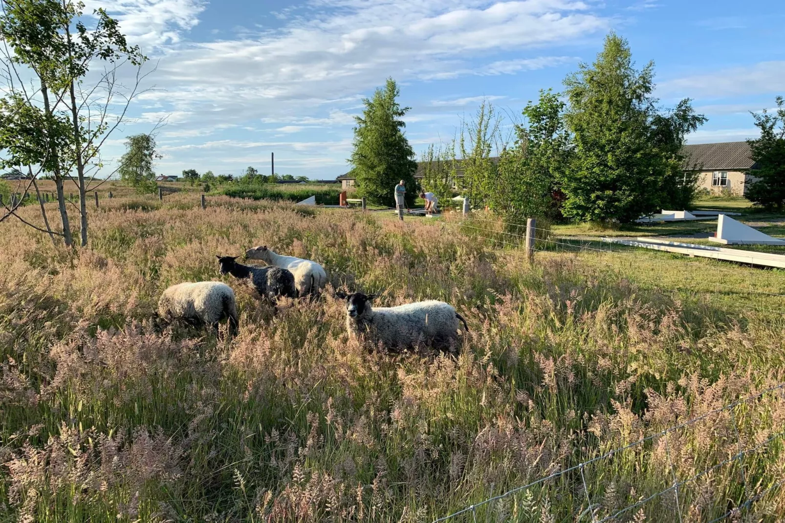 5 person holiday home in Rønne-Not tagged
