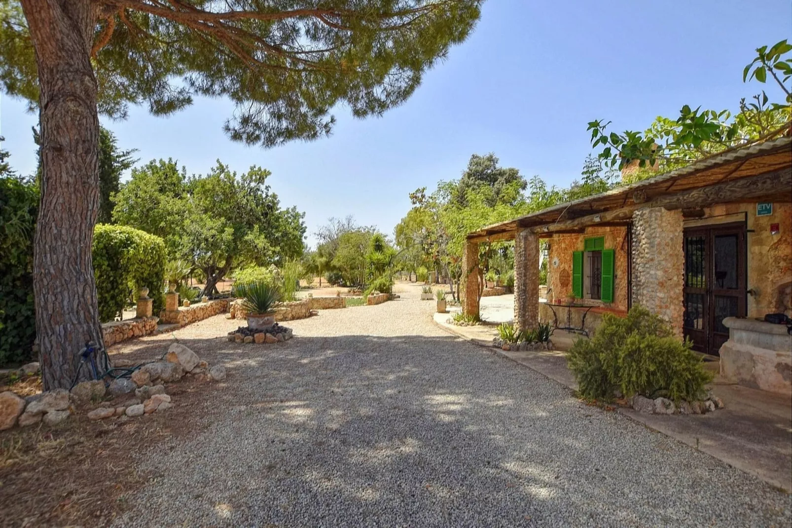 Caseta-Exterior summer