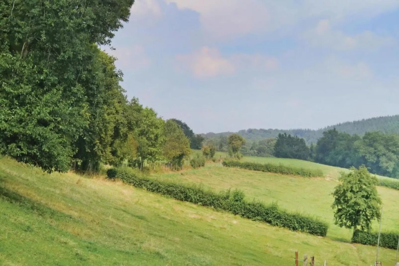 Het Zilver Vosje-Areas summer 20km