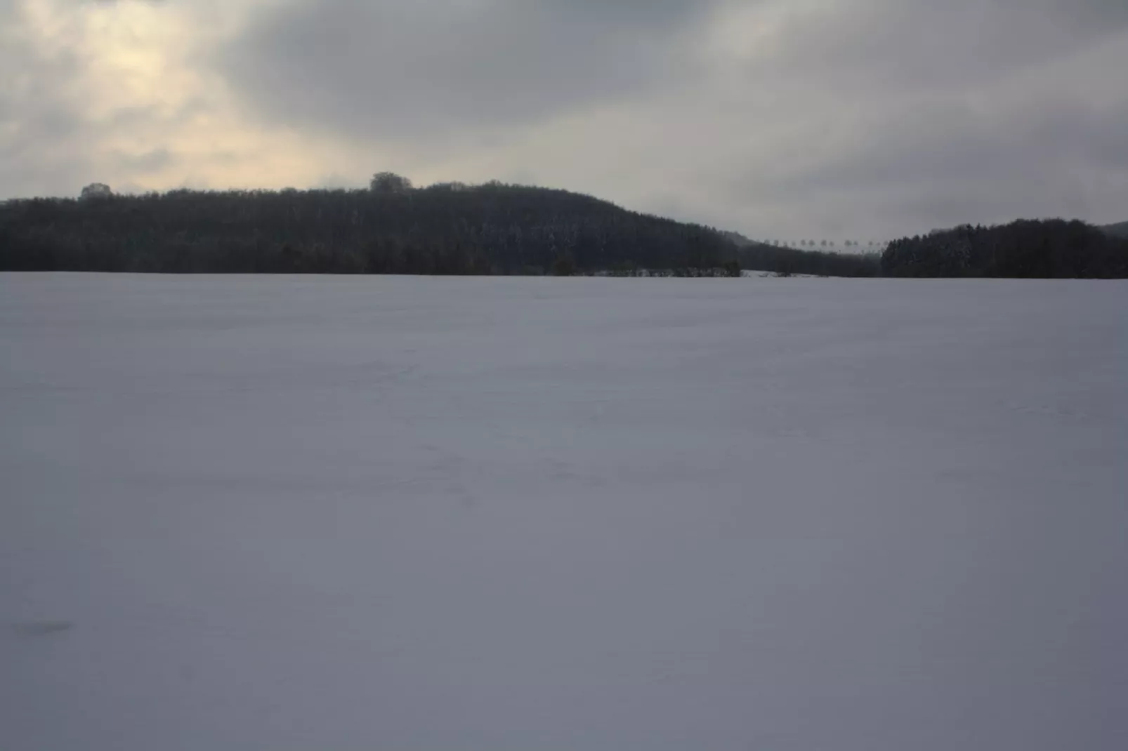 Reeenheuvel-Area winter 20km
