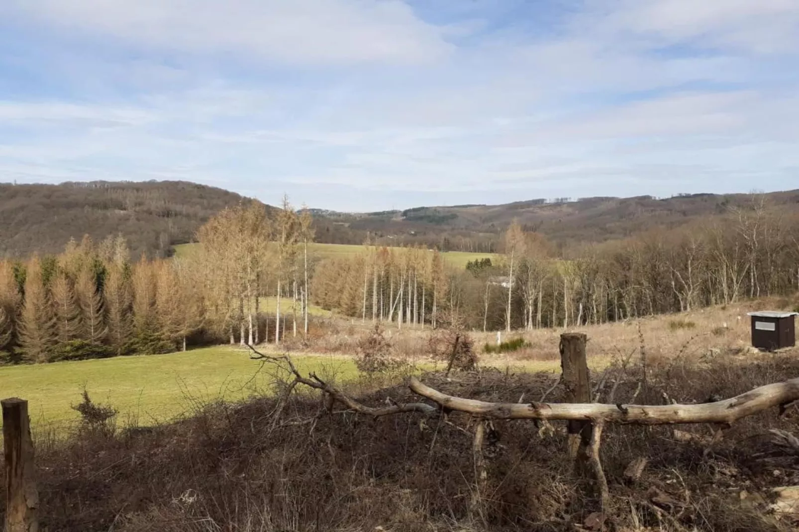 Im Westerwald-Areas summer 20km