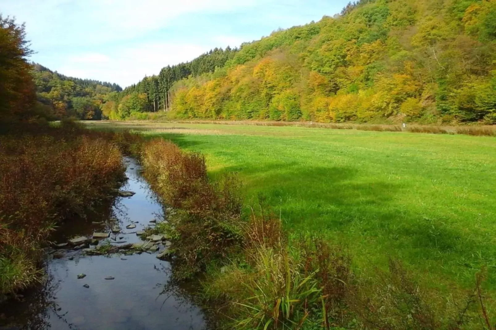 Im Westerwald-Areas within 20km in summer