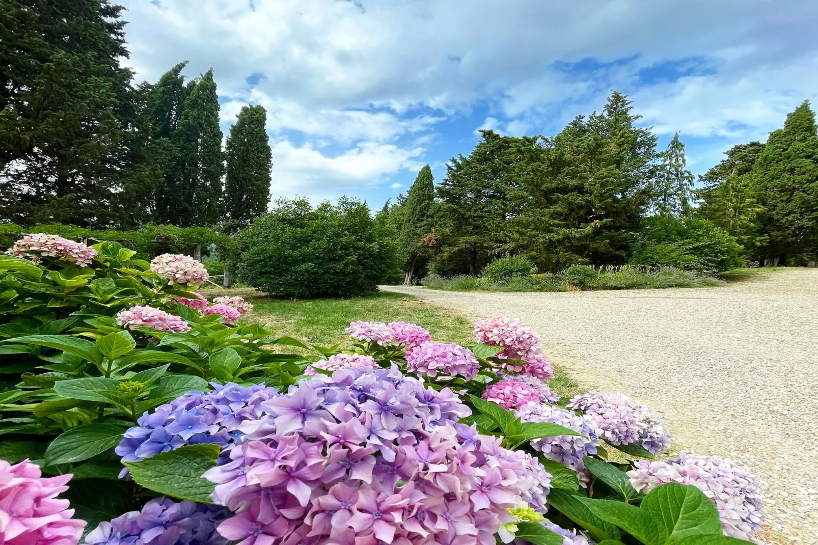 La Scheggia-Gardens summer