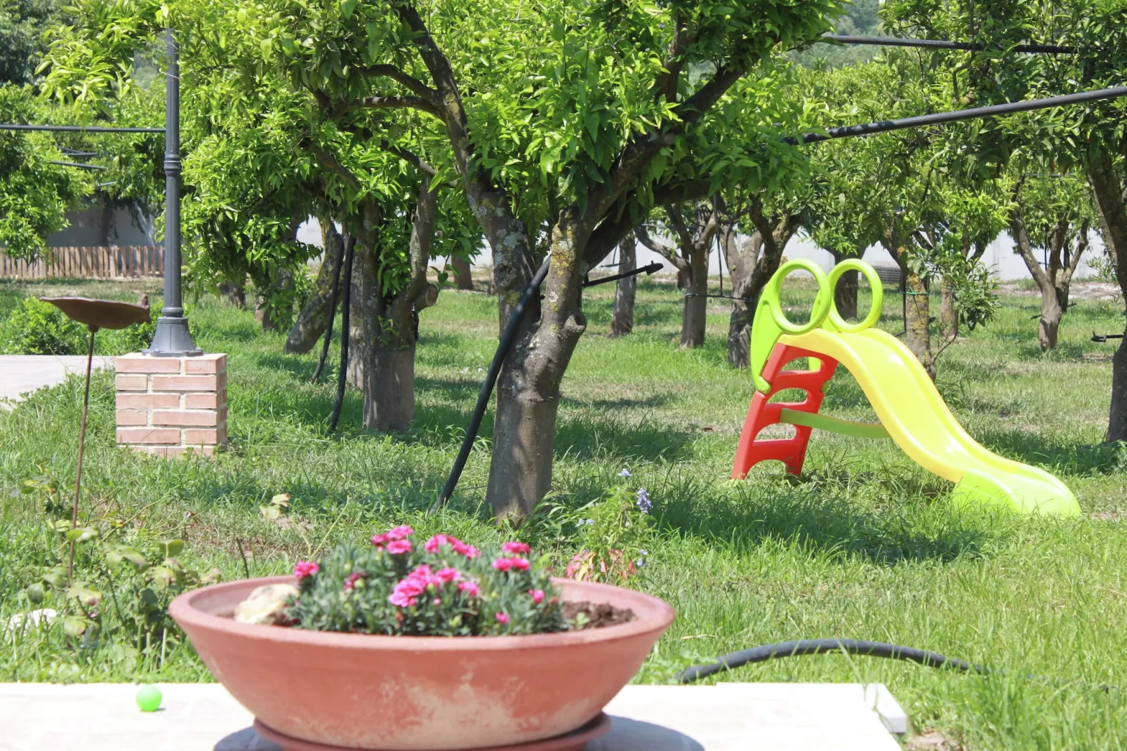 Casale tra gli Agrumi-Gardens summer