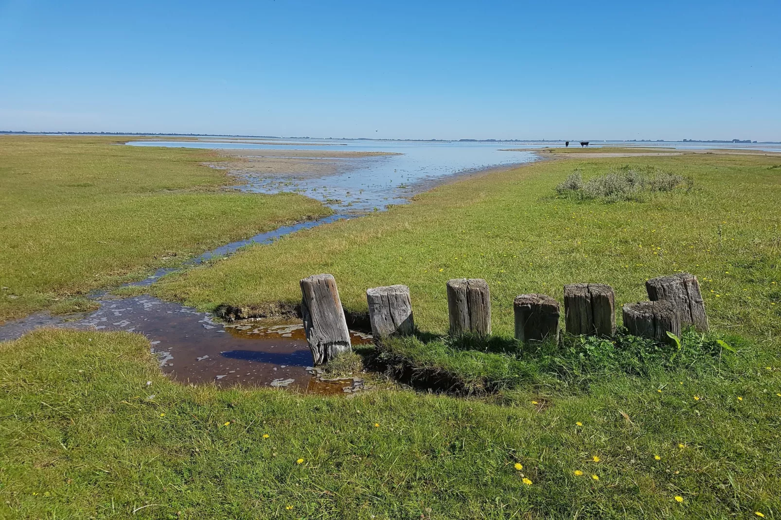 Vakantiepark Zeedijk 2-Areas summer 5km