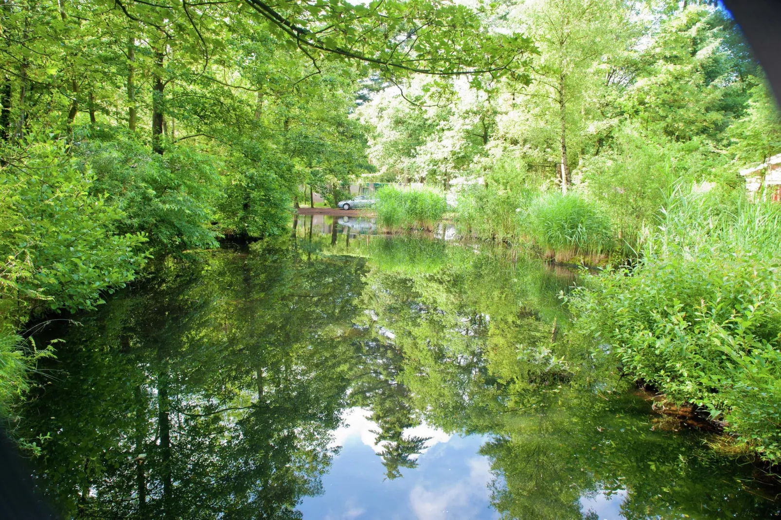 Vakantiepark de Berkenhorst 2-View summer