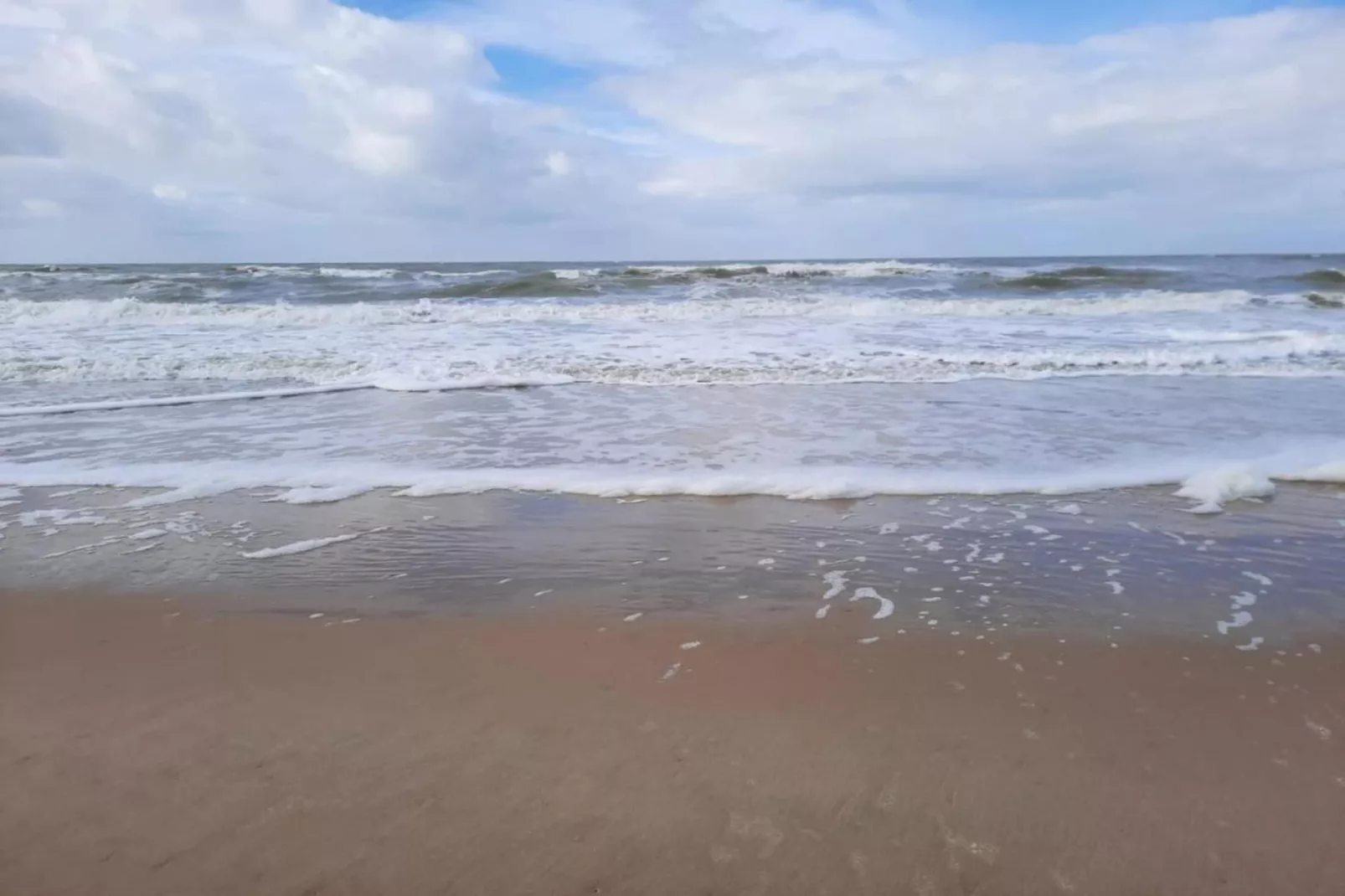Fort den Haak - Chalet 1 tm 15  hond-Areas summer 5km