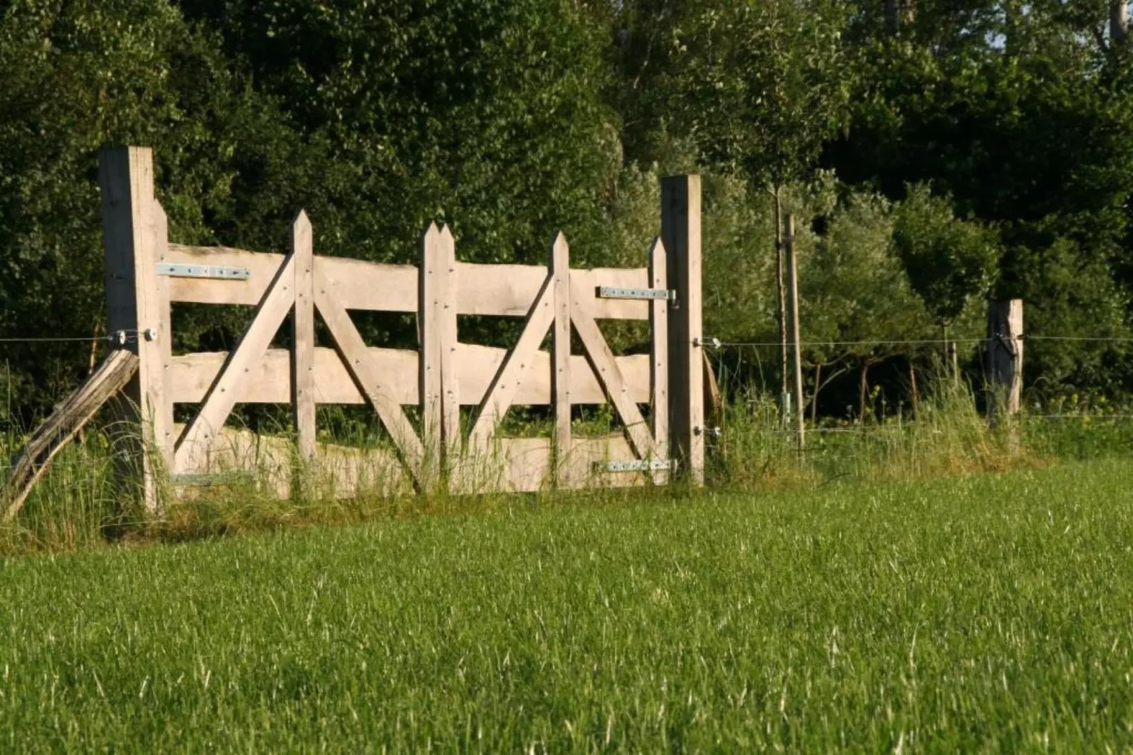 Het Kruisselt-Gebiete Sommer 20 km