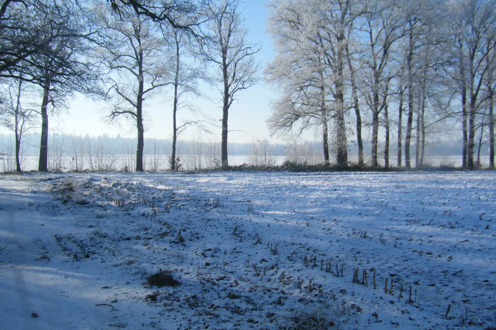 Zonnenberg 34-Area winter 1km