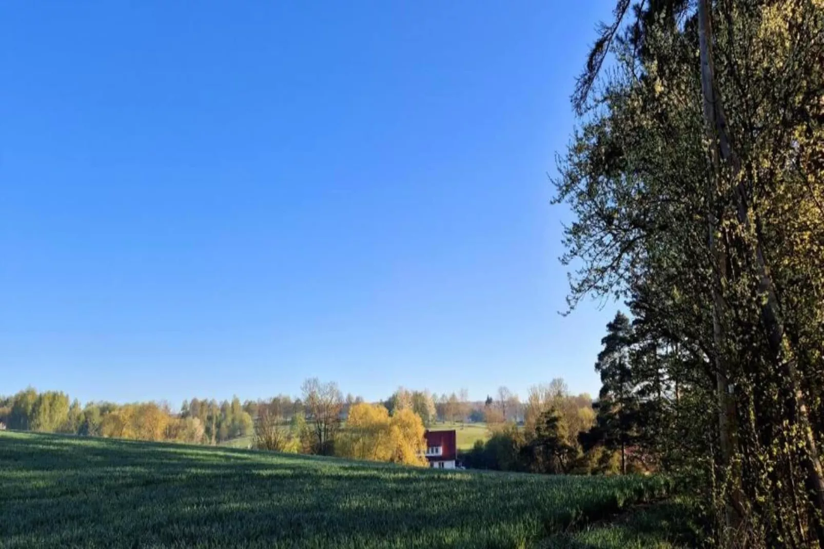 Chalet am Bergflüsschen-Areas summer 20km
