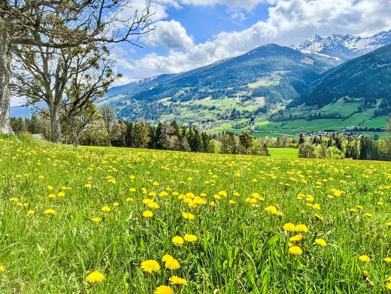 Salzmannhof-Outside