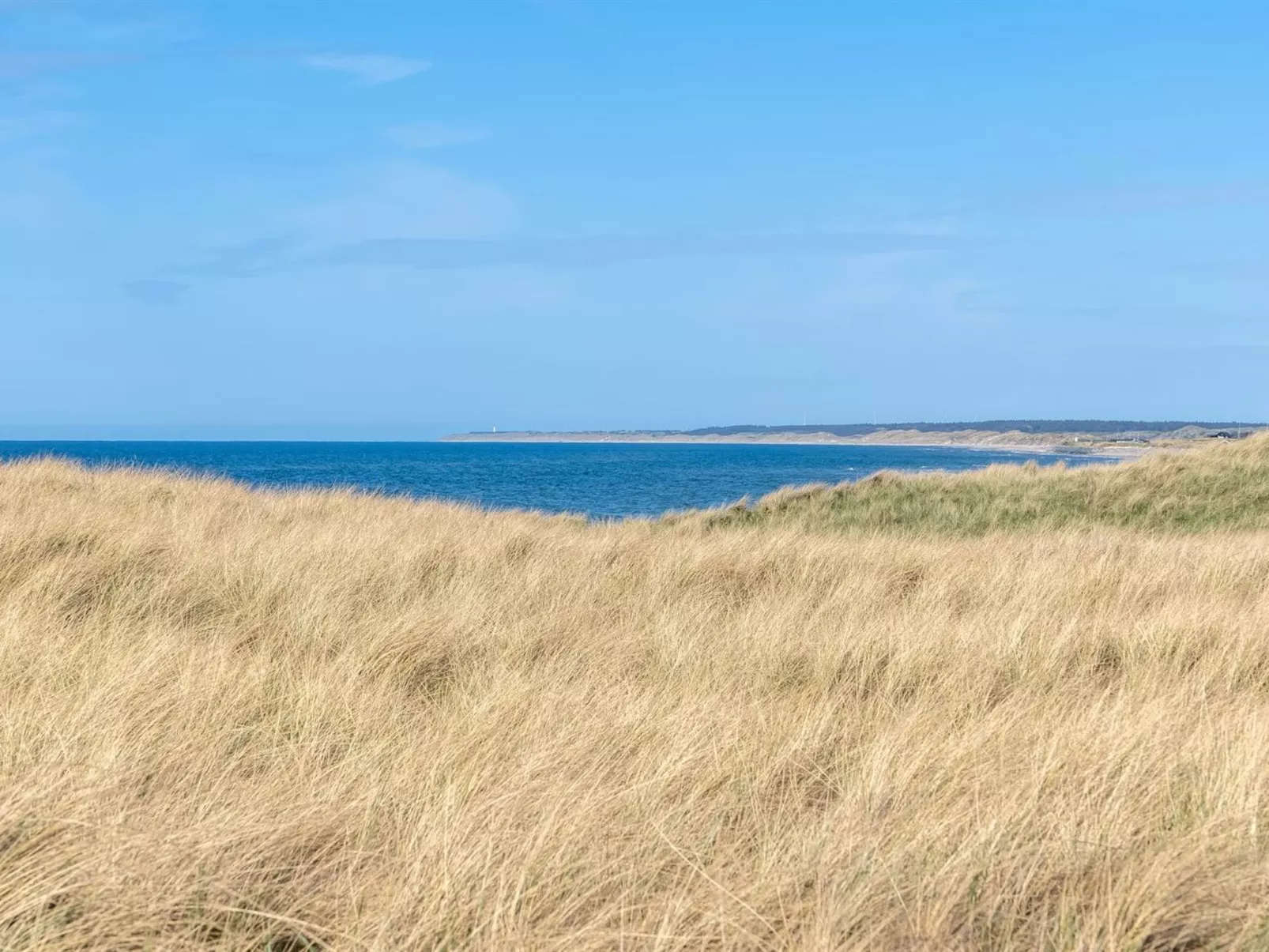 "Stintje" - 20m from the sea-Draußen
