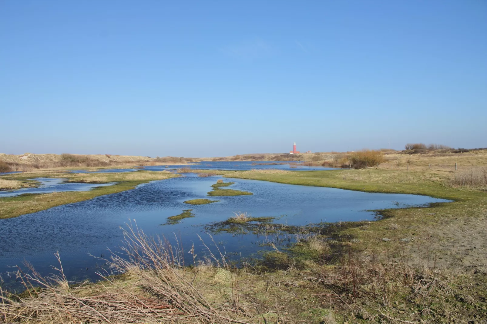 Stoeterij C65-View summer