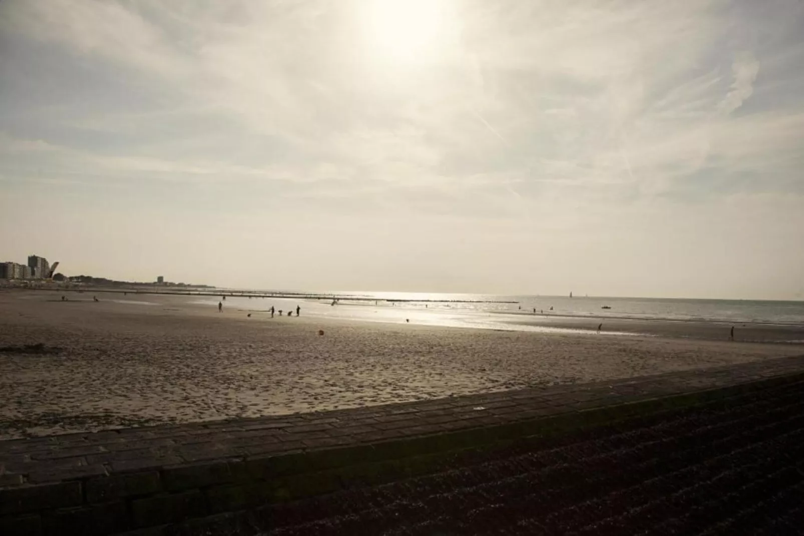 WSP7-Gebiete Sommer 20 km