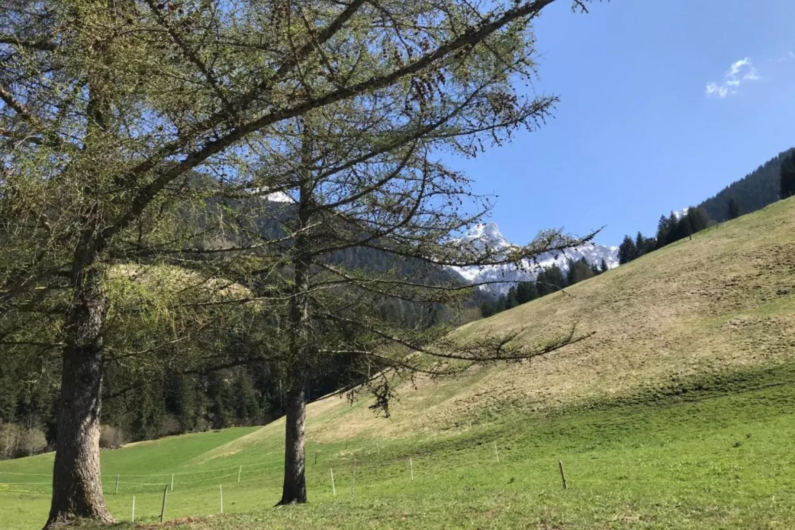 Beautiful Modern Chalet in the Gstaad Region-Gebiet Winter 5 km