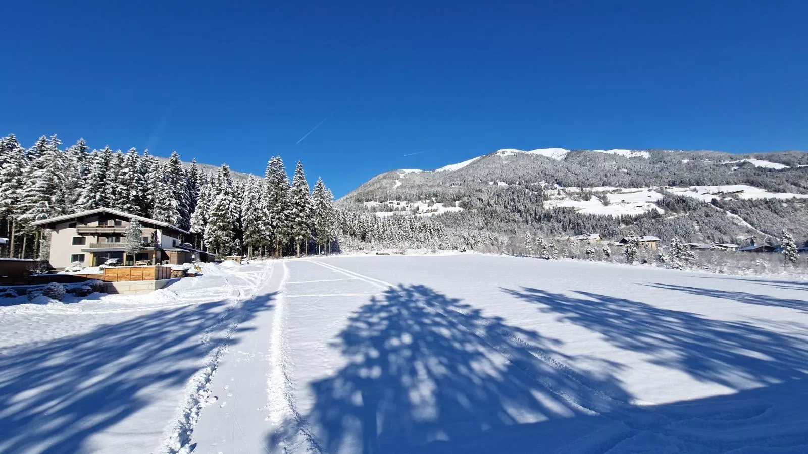 Moser-Area winter 1km