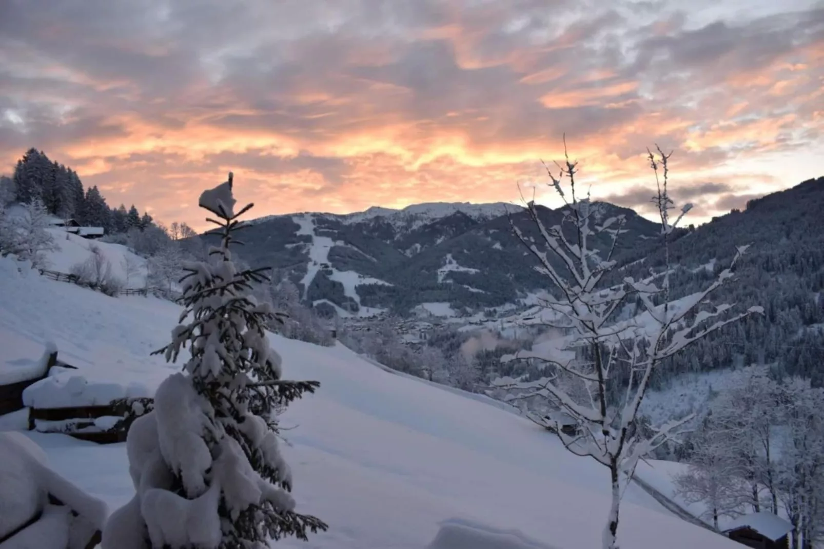 GA2C Alpenleben Apartments-Area winter 20km