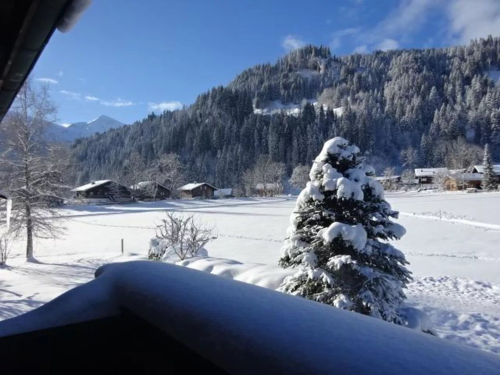 Lischenhaus - Strubel-Dehors