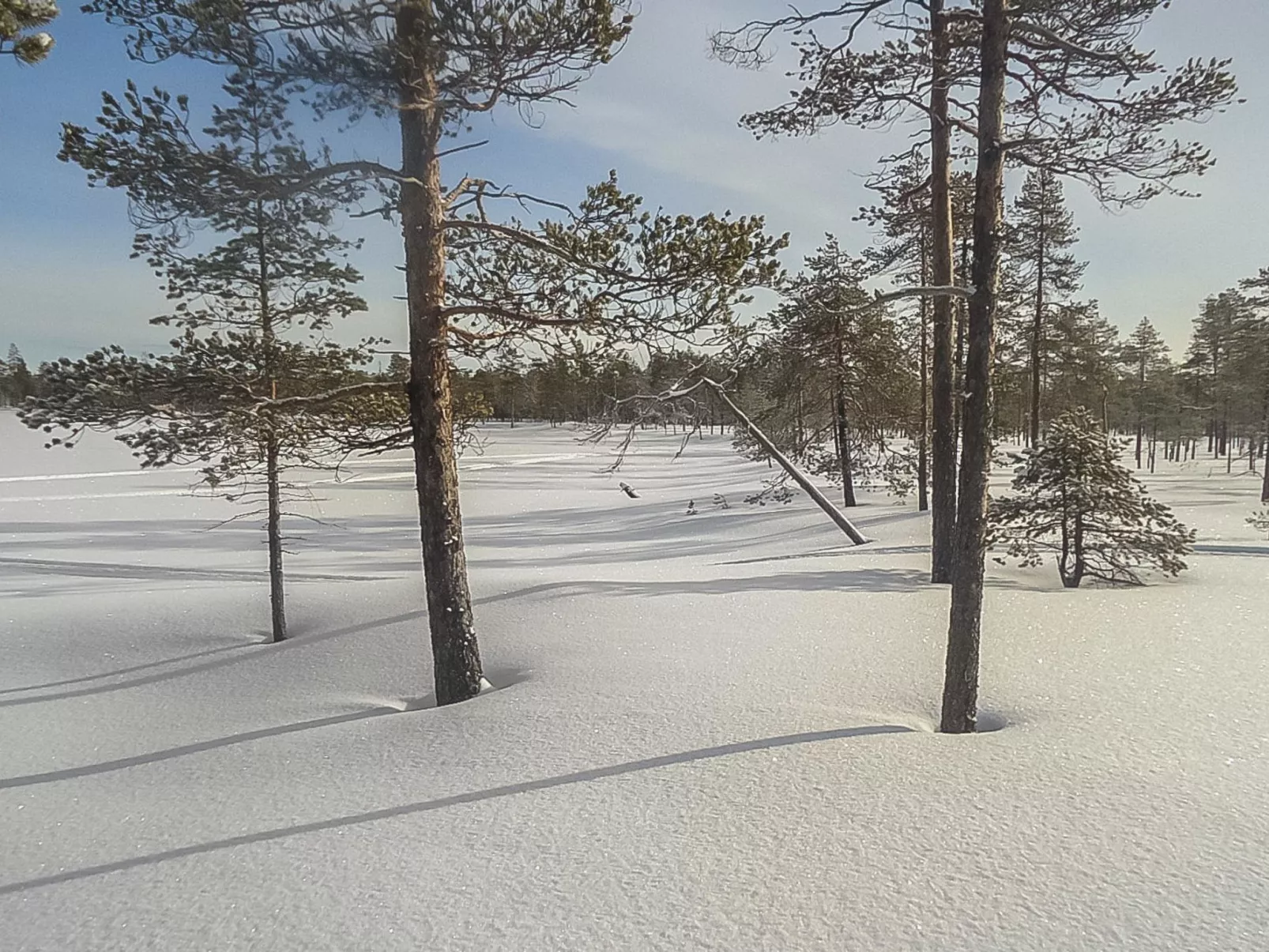 Lystikämän tupa-Dehors