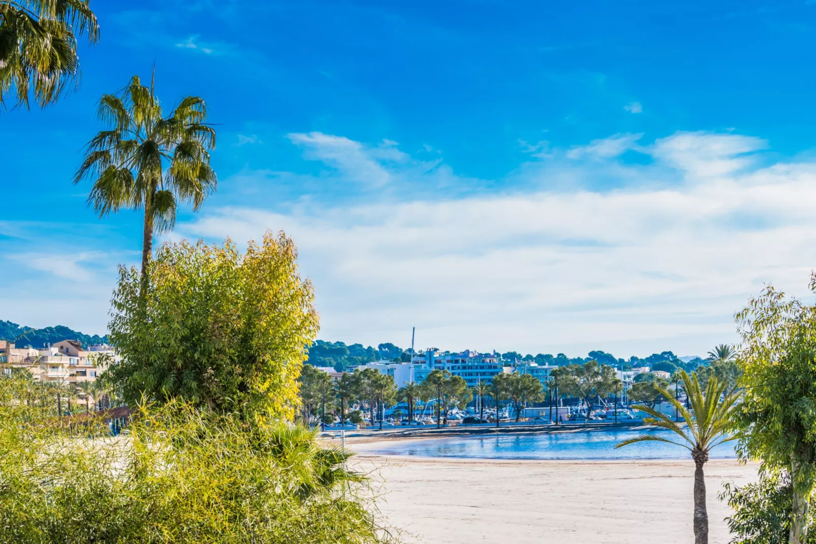 Blue Palm Beach-Zones d'été à 1 km
