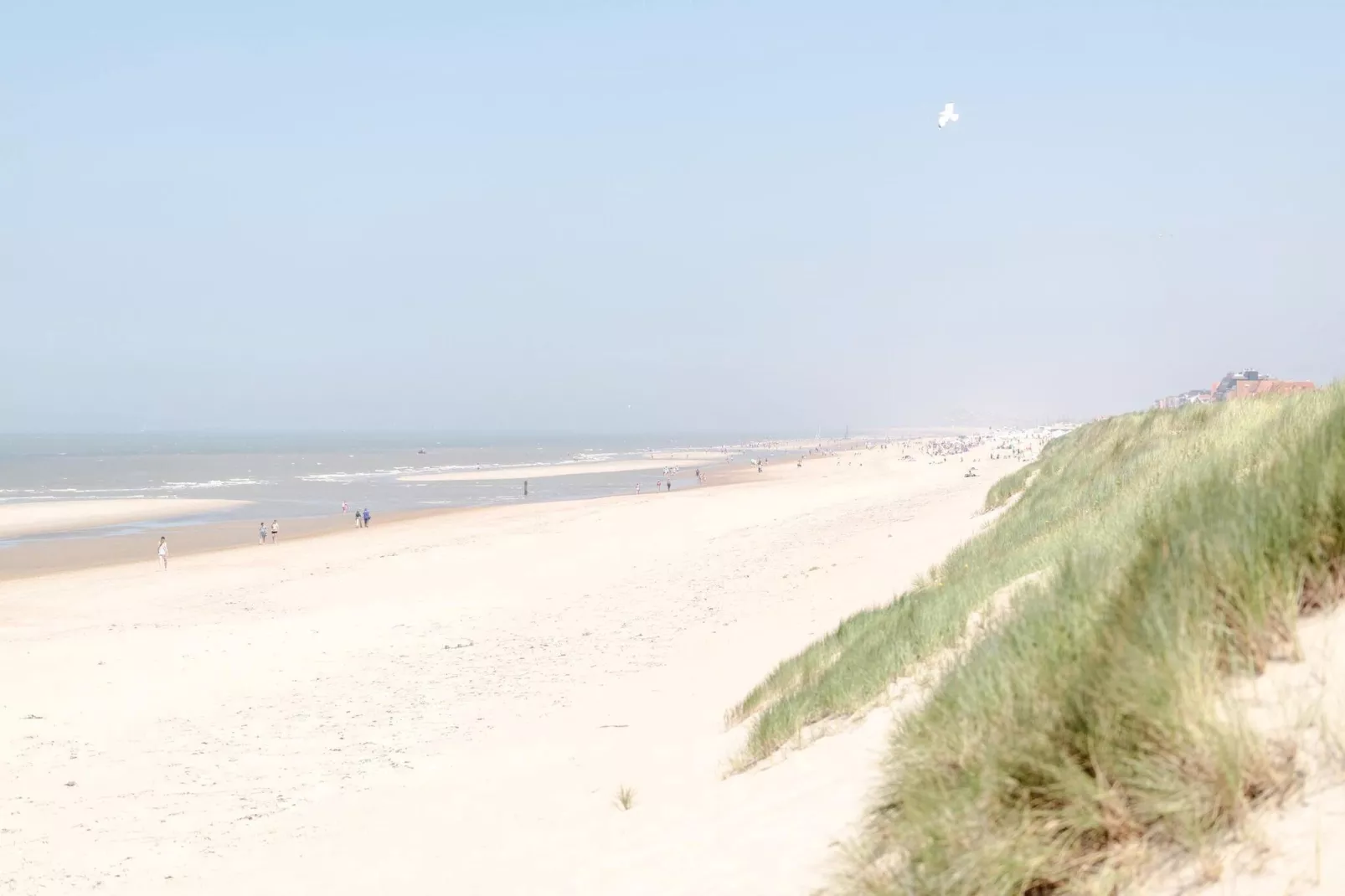 RESIDENTIE CARLTON I0307-Areas summer 5km