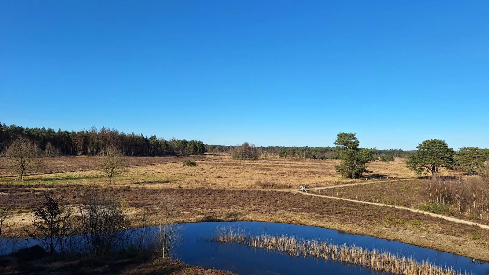 Hoevendeel-Gebiete Sommer 5 km
