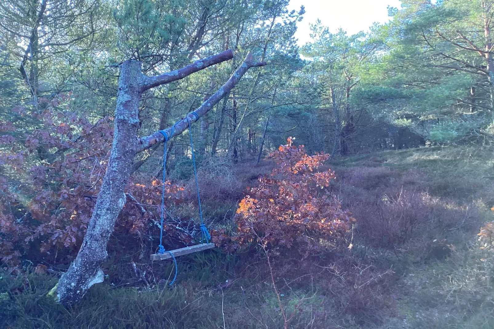 4 star holiday home in Ålbæk-Outdoor