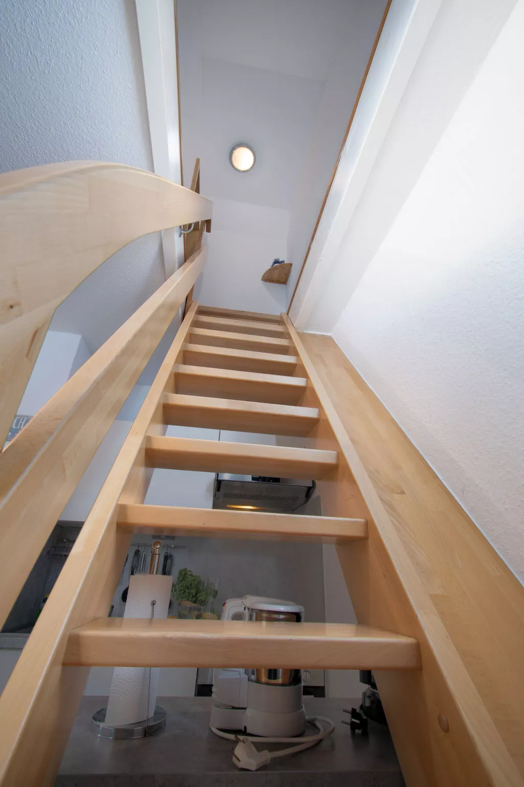 Scholle-Inside