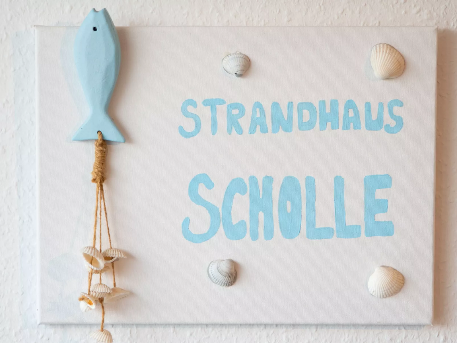 Scholle-Inside