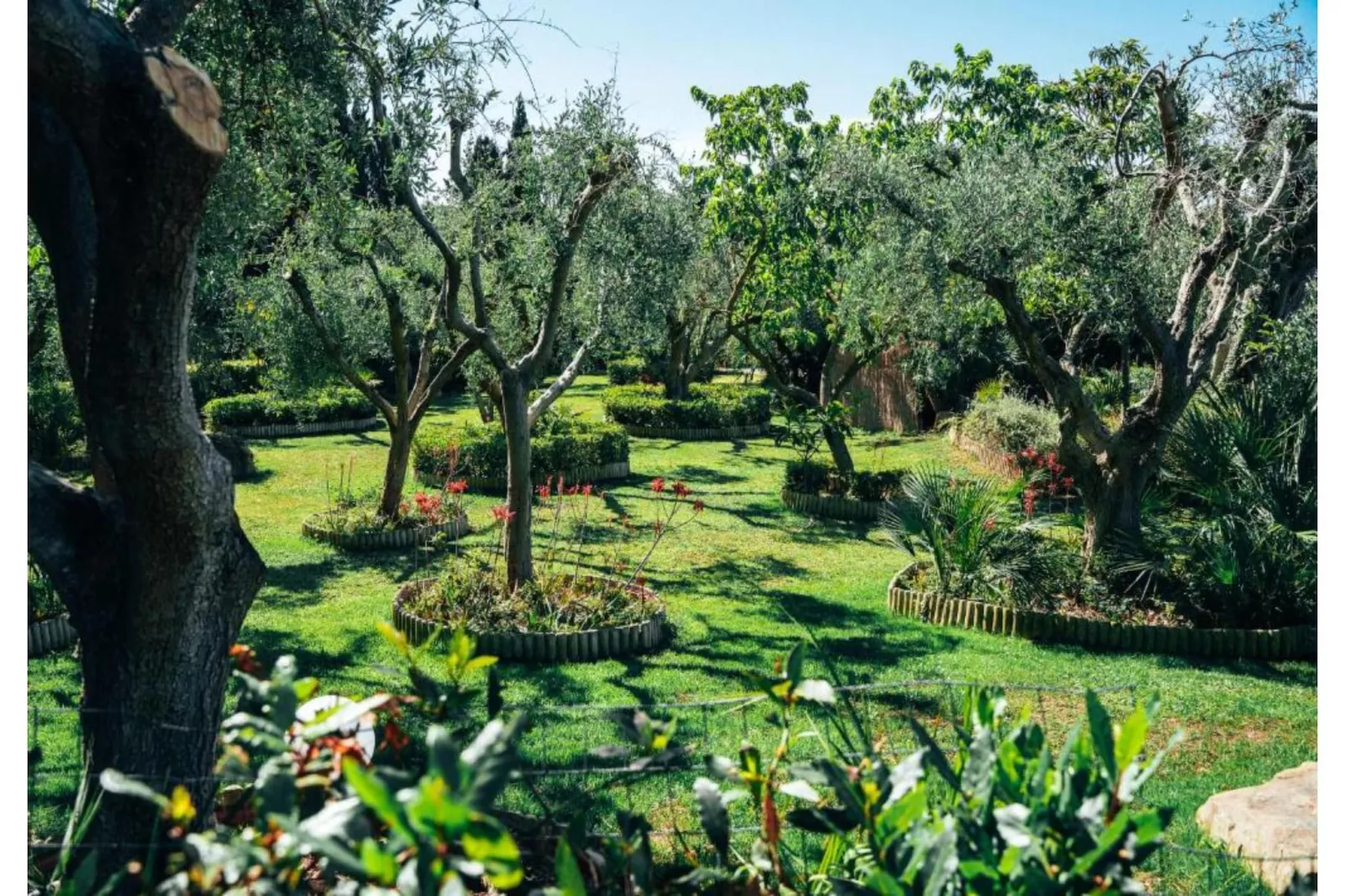 Residence Park Solemaremma 2-Zi-App Classic A BK/TE 30 qm-Gardens summer