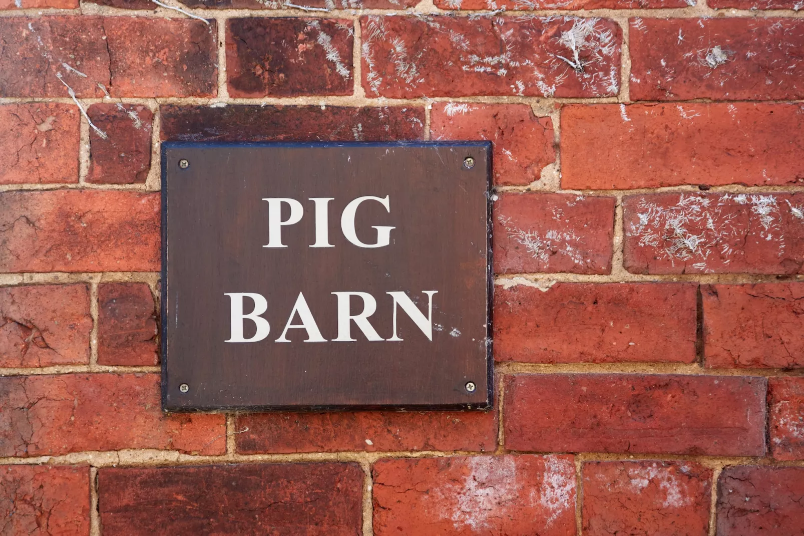 The Pig Barn-Atmosphere