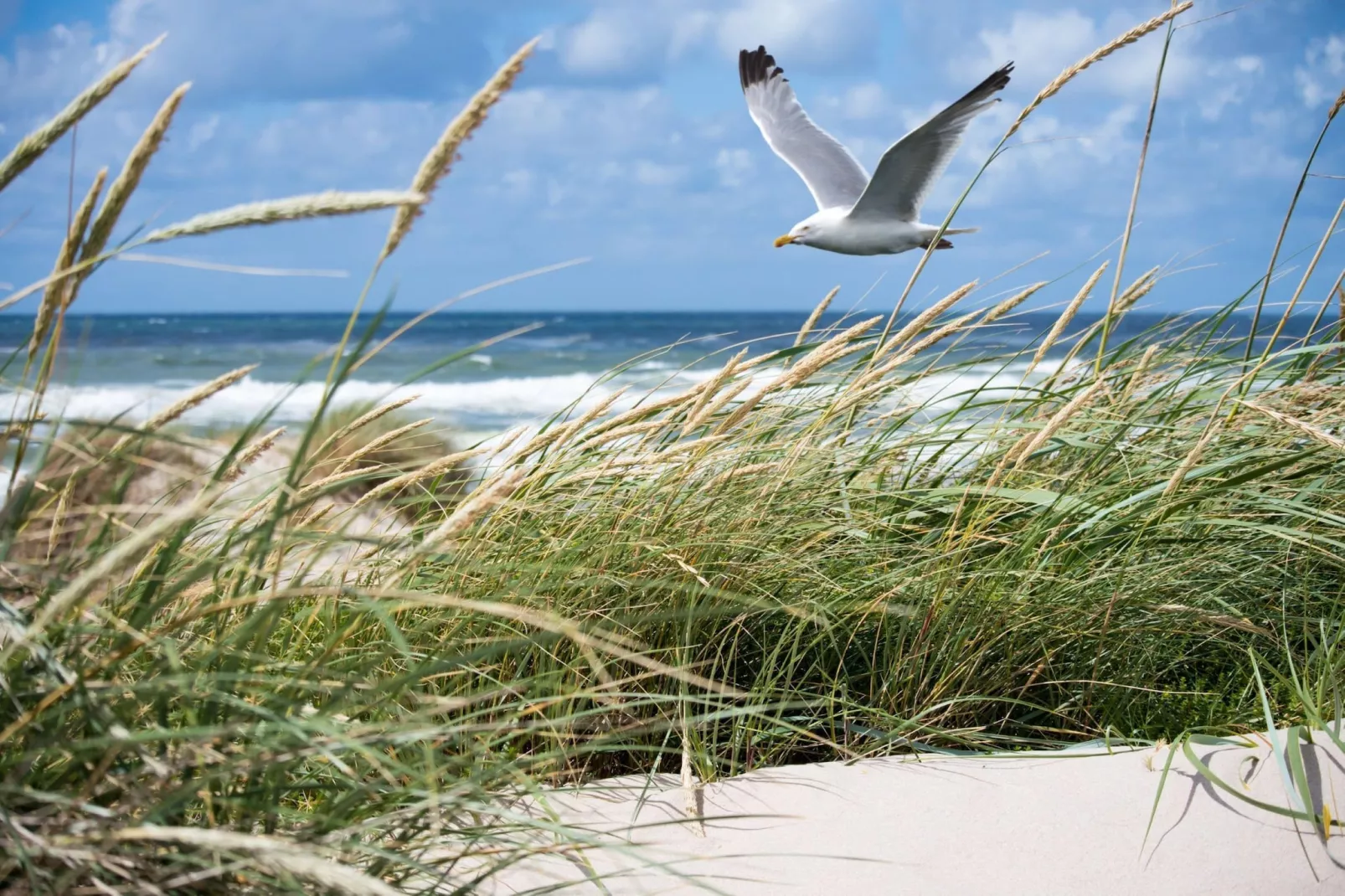 Mistral 01-Gebiete Sommer 1 km
