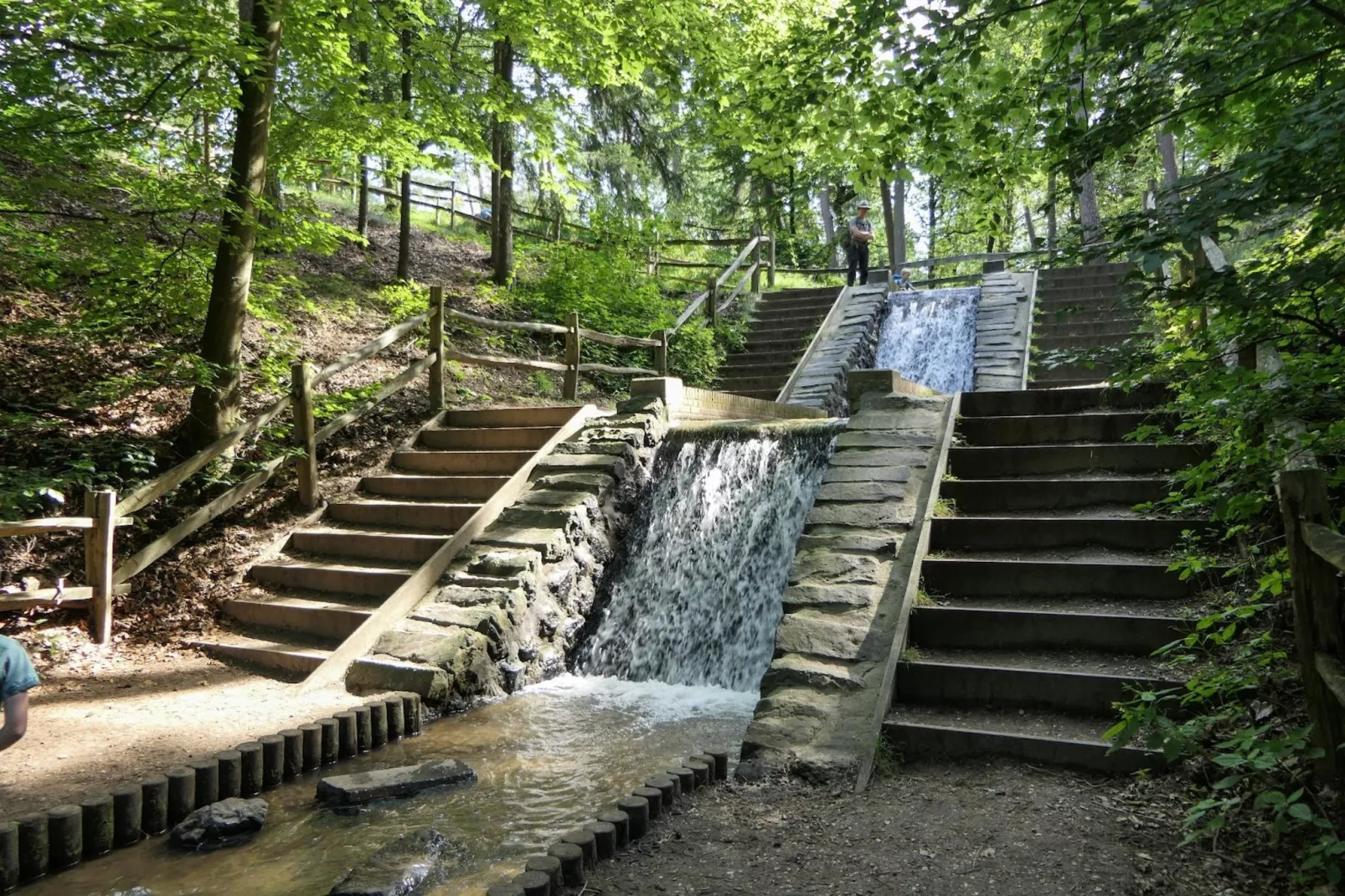 Chalet Meerkoet-Gebiete Sommer 1 km