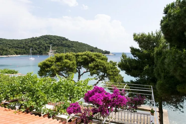 Apartments Franka Saplunara-One-Bedroom Apartment with Terrace and Sea View No 3-View