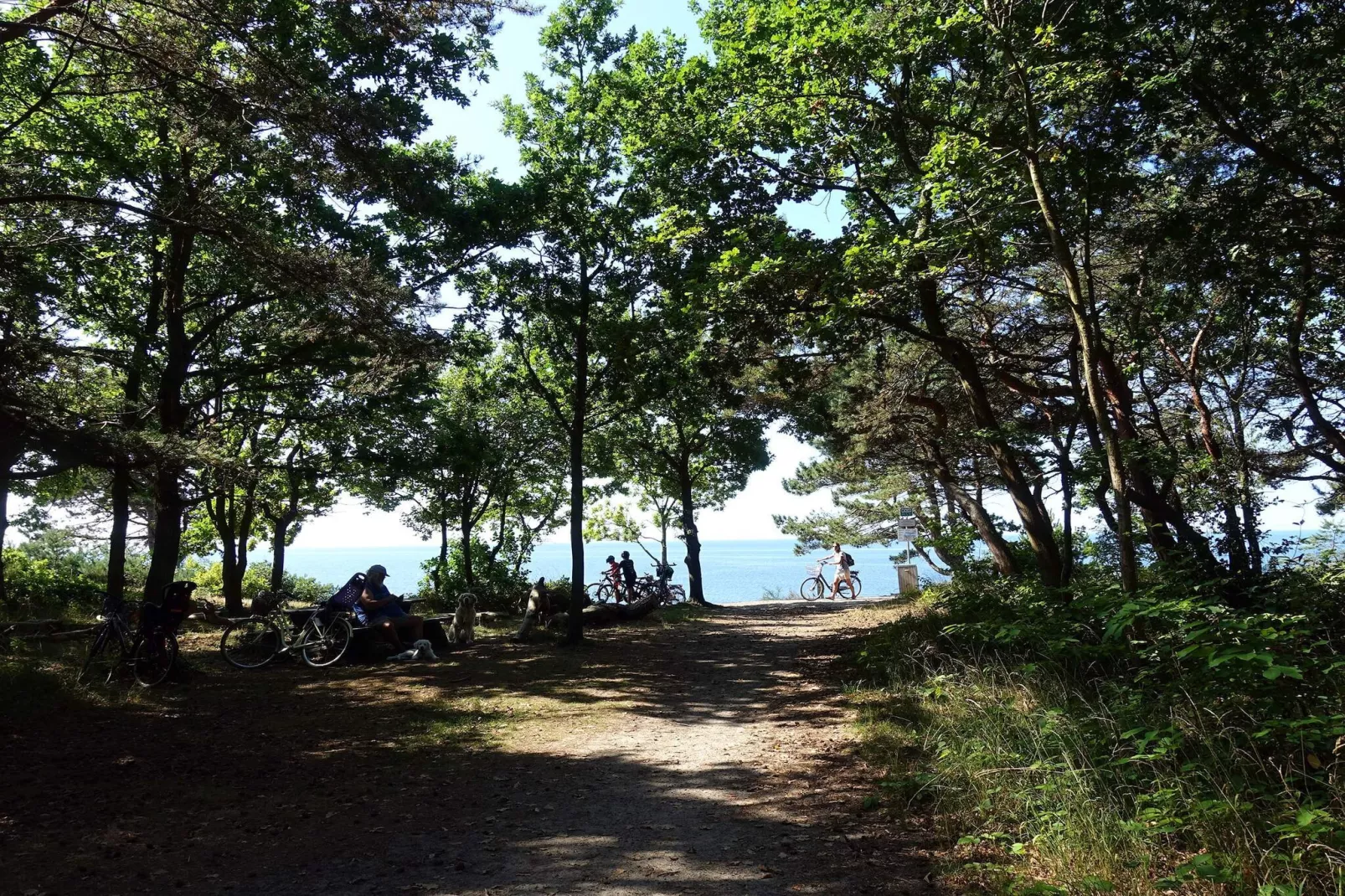 4 person holiday home in Rønne-Not tagged