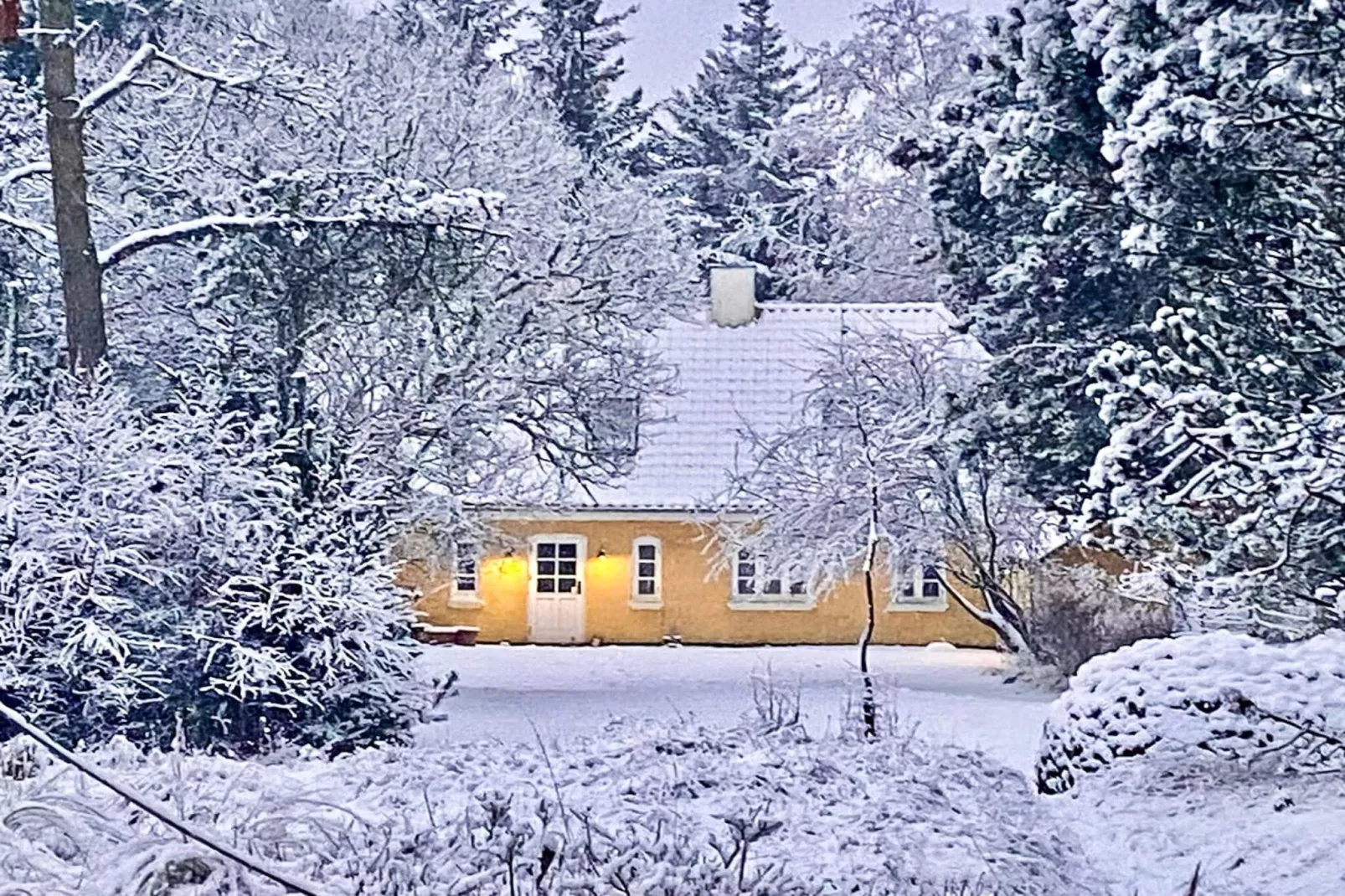 5 star holiday home in Ålbæk-Outdoor