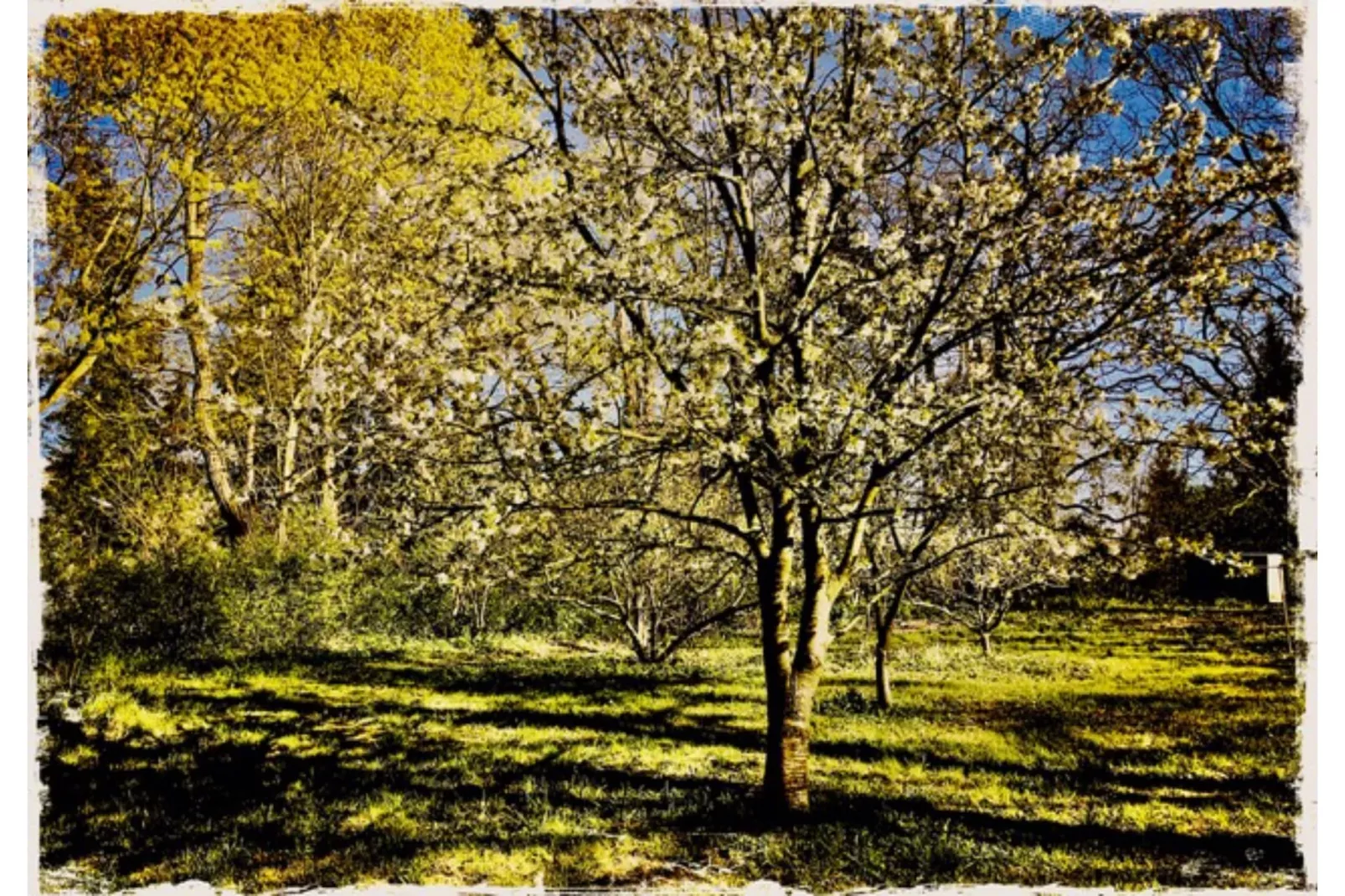 Landlust pur 1-Jardin d'été