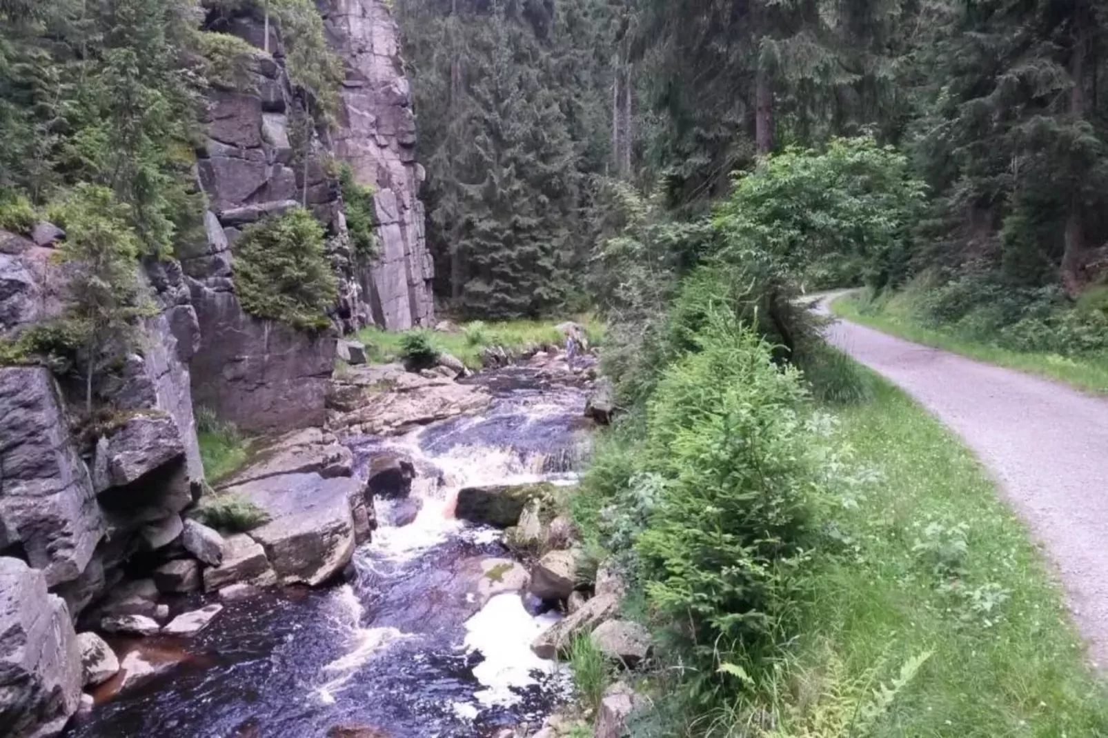 Villa im Erzgebirge-Areas within 20km in summer