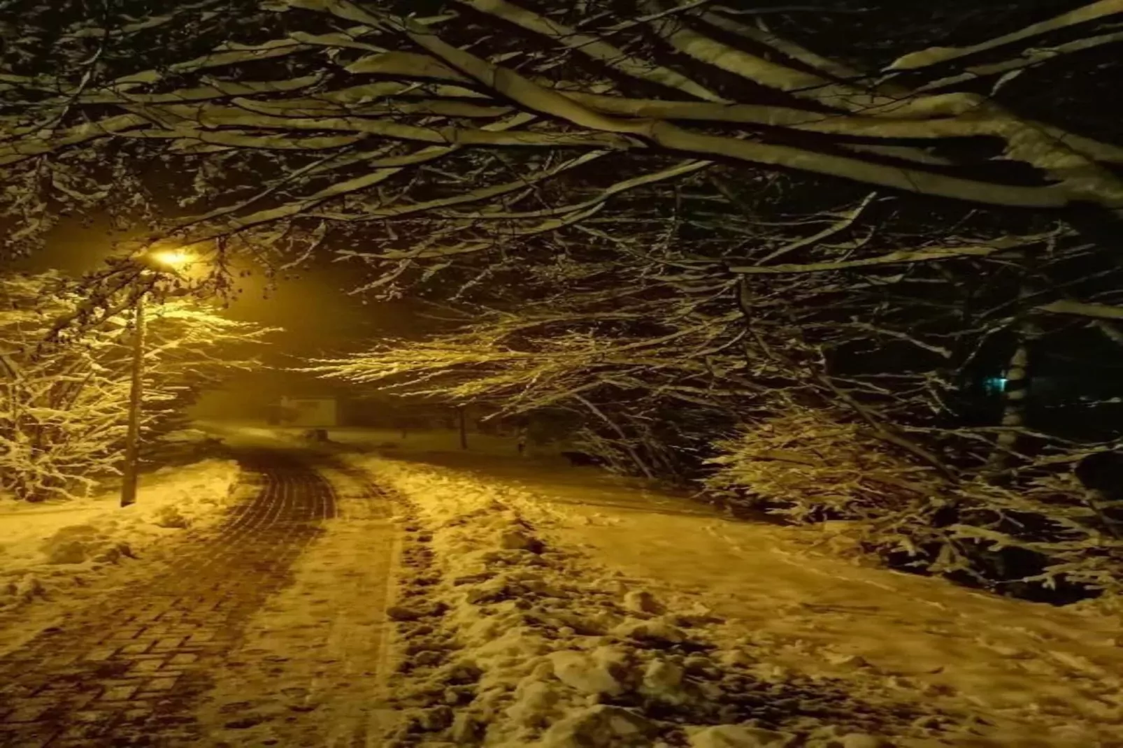 Wernigerode-Area winter 20km