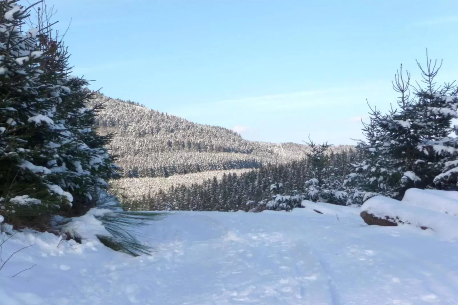 Eslohe-Zones hiver à 20 km