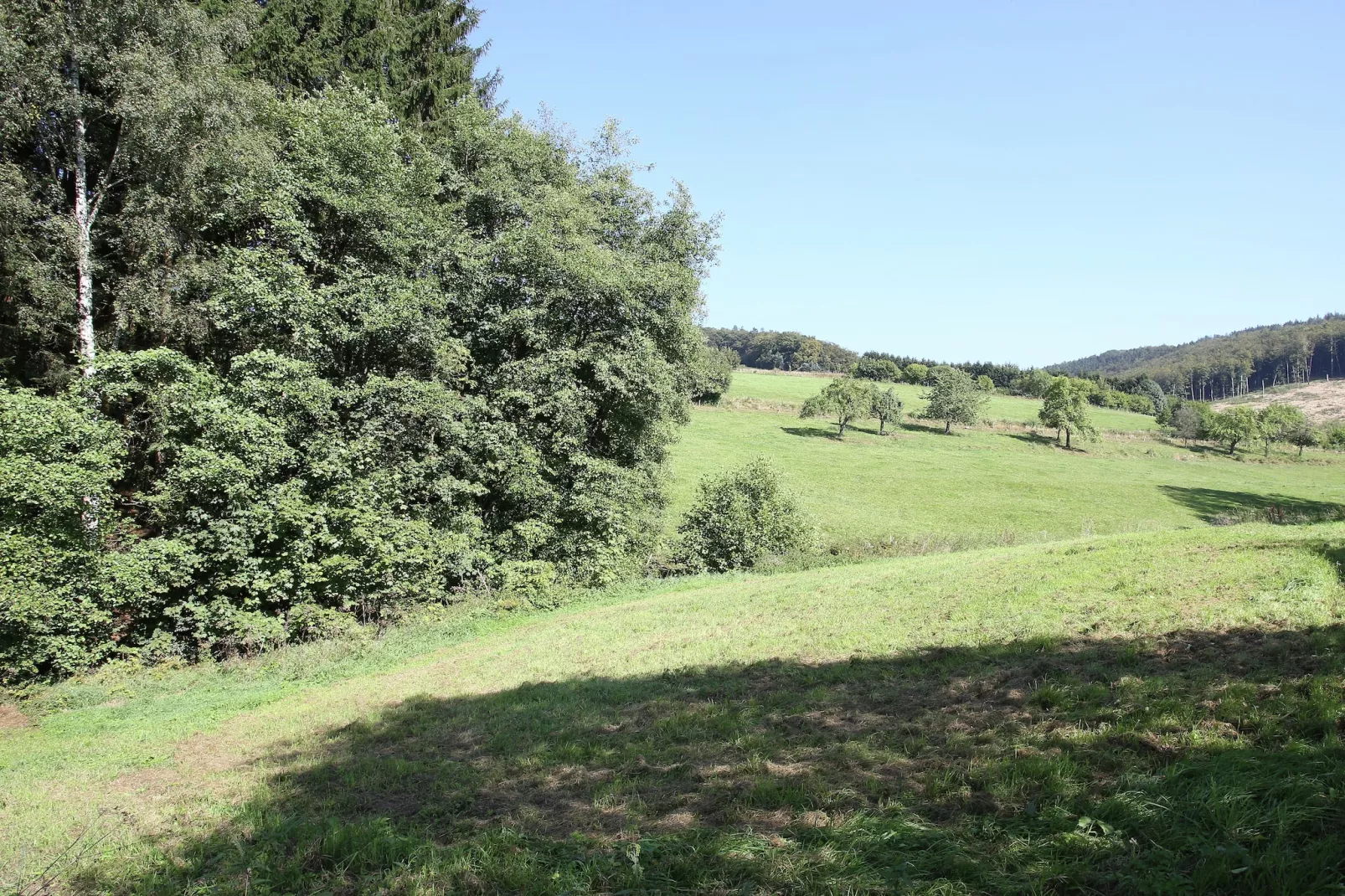 Wieselbau-View summer