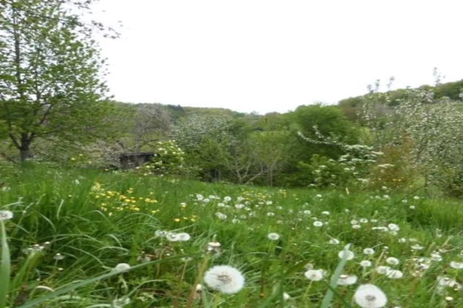 Maison Failte-Areas summer 20km
