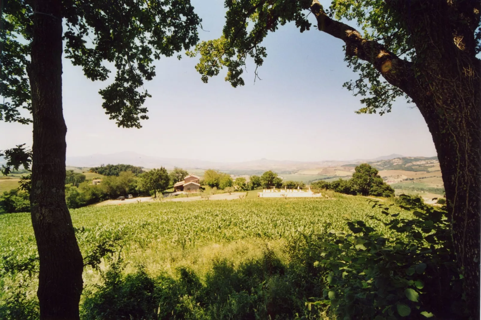 Il Portichetto-View summer