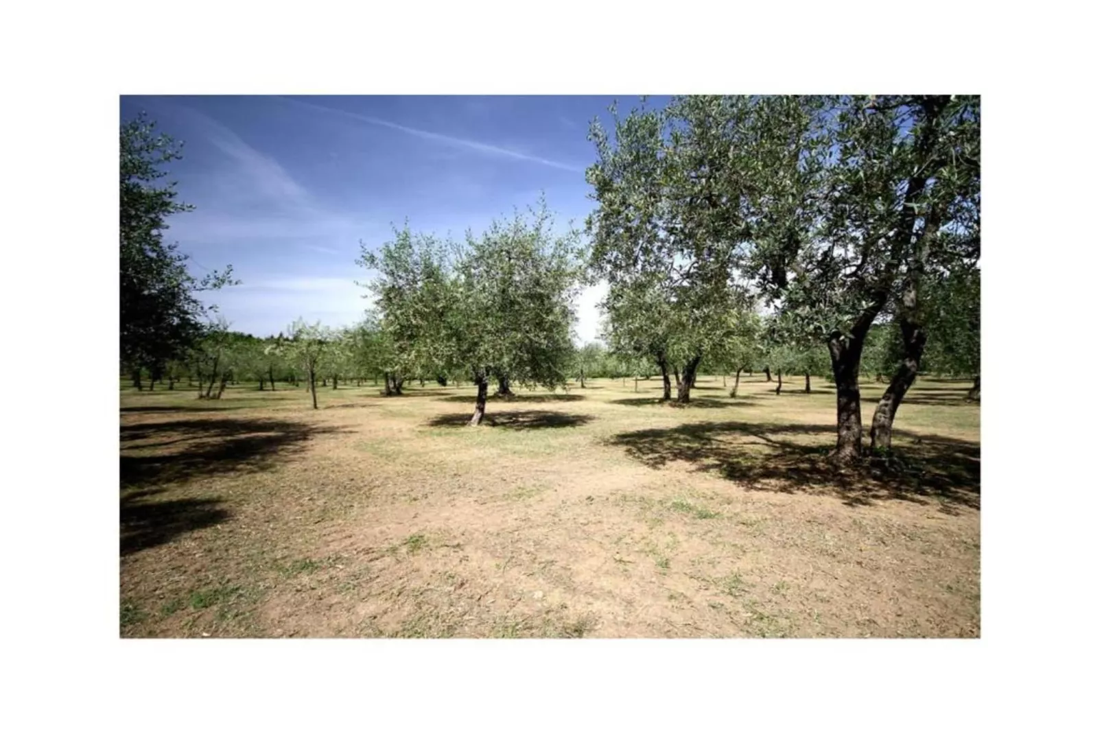 Appartamento 5-Areas summer 20km