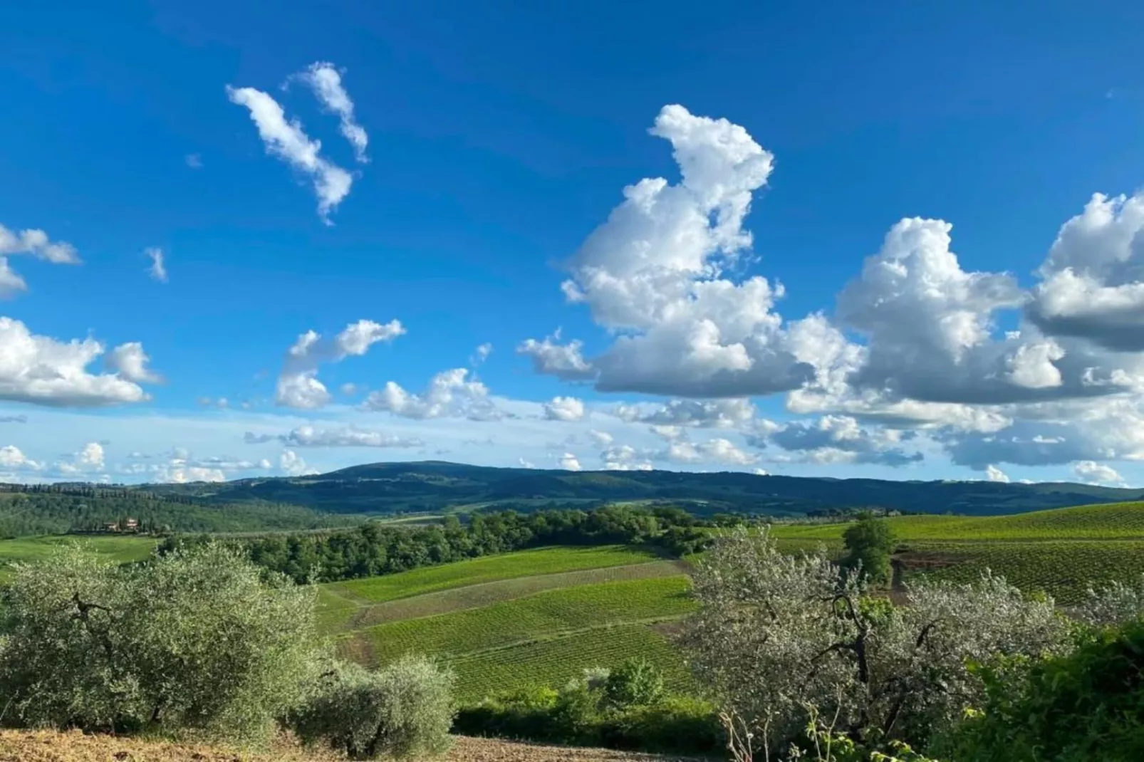 Il Poggiale-apt 9-Areas summer 20km
