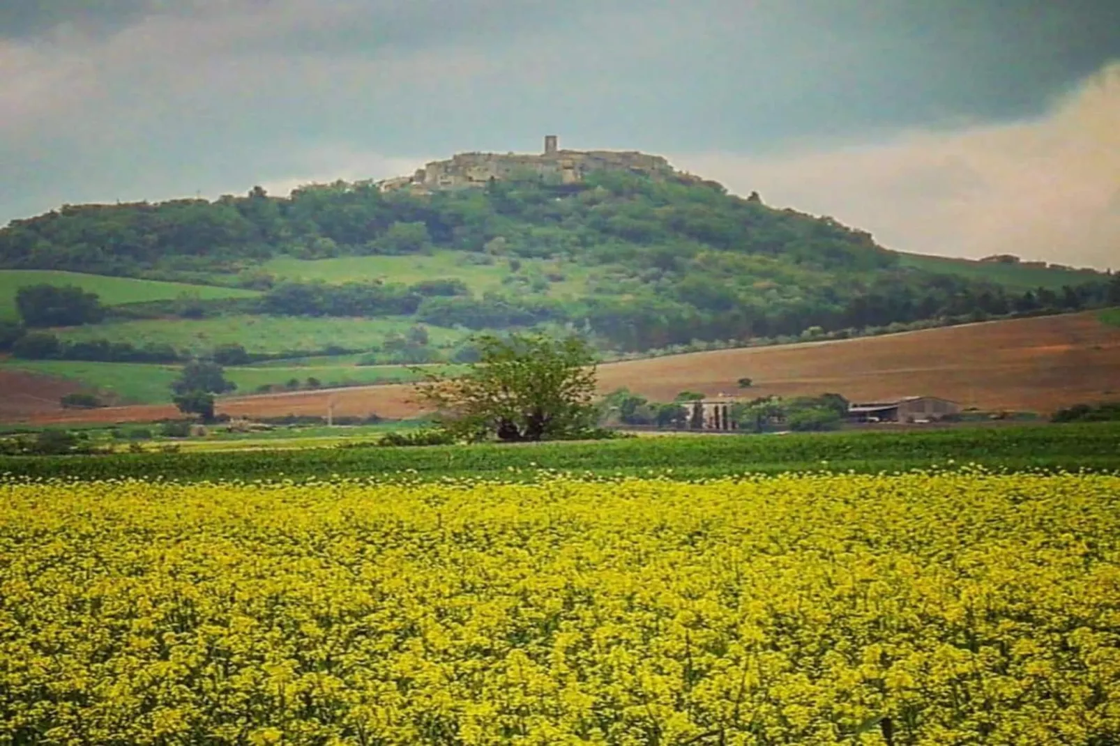 Villino Quattro-Areas summer 20km