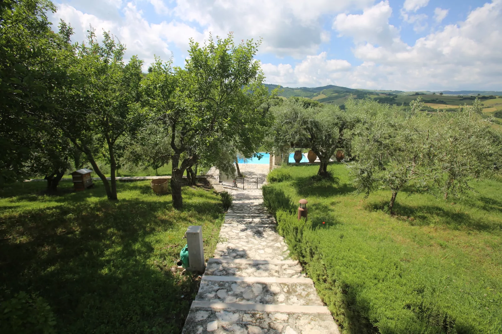 Oleandro 2-Gardens summer