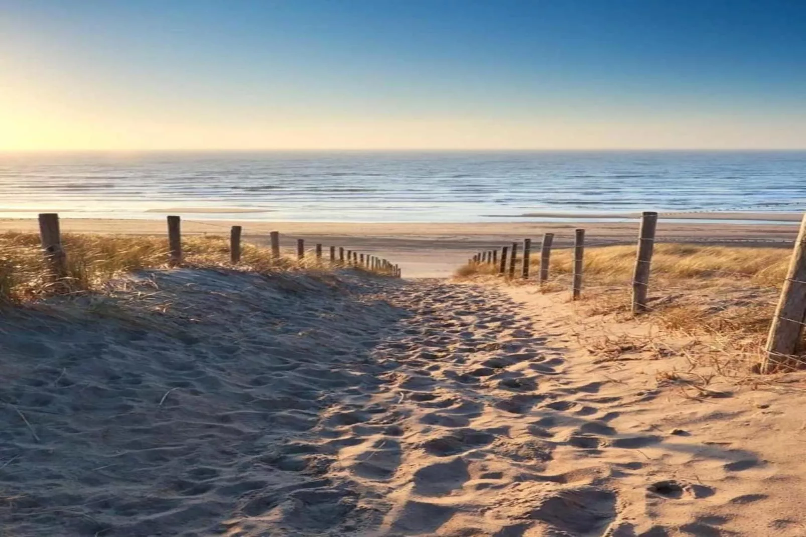 Fort den Haak - Chalet 1 tm 15  hond-Areas summer 5km