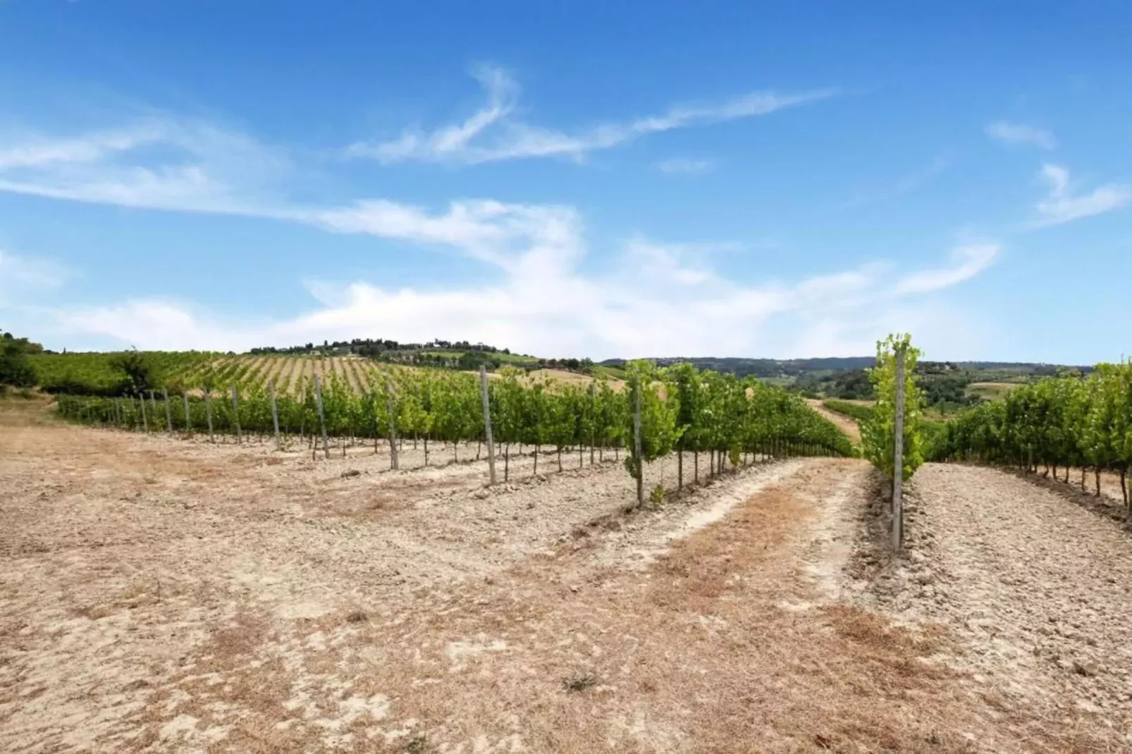 Cipresso-Areas within 20km in summer