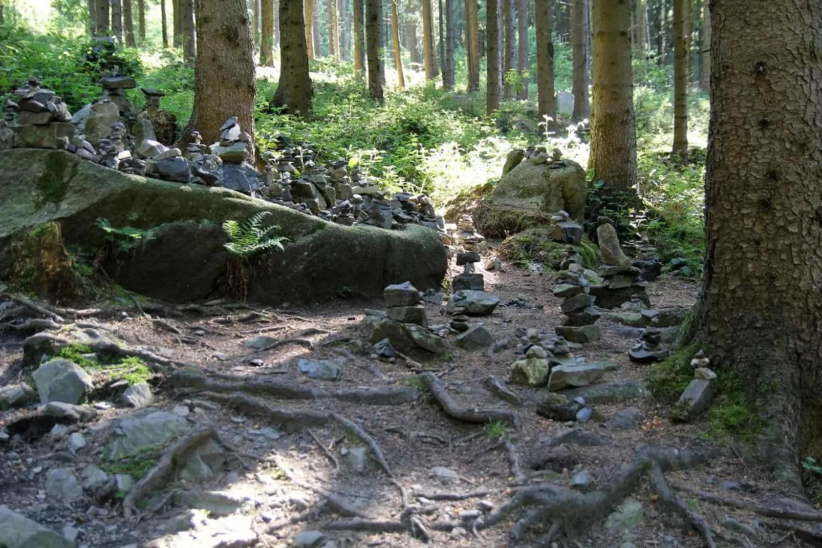 Chalet am Bergflüsschen-Areas summer 20km